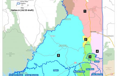 School Board Option A Map