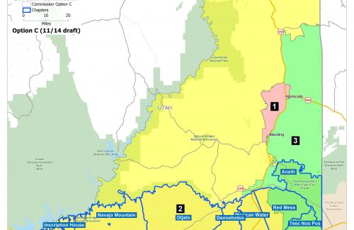 Commission Districts Option C Map