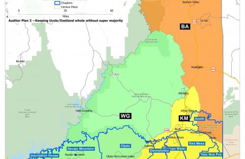 Auditor Option 3 Commission District Map