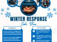 Winter Response Flyer