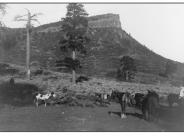 Bears Ears1 1915