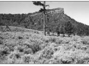 Bears Ears1 1998