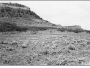 Bears Ears 2 1953