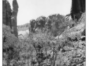 Bobby's Hole 1927