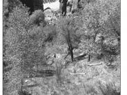 Bobby's Hole 1999