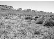Comb Ridge 1999