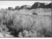 Comb Wash 1998