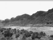 Comb Wash 3 1910