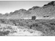 Comb Wash 3 1999