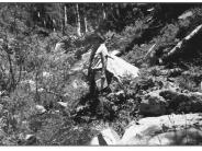 Cooley Gulch 1998