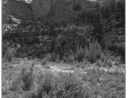 Dark Canyon 1998