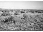 Dry Valley 1998