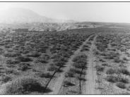 Grey Mesa 1962