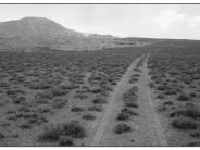 Grey Mesa 1998