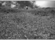 Indian Creek 1998