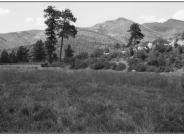 Johnson Creek 1998