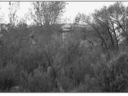 Lower Cottonwood Creek 1999