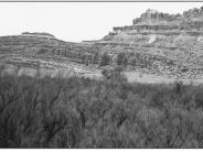 Lower Kane Creek 1999