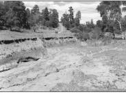 Maverick Point 1957