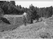 Maverick Point 1998