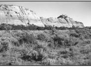 Near Lasal Junction 1999
