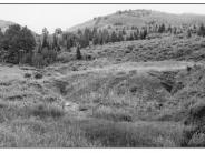 Near Monticello Lake 1957