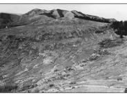 Recapture Creek Late 1940s