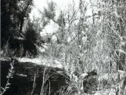 Turner Water Canyon 1999
