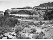 Upper Kane Creek 1999