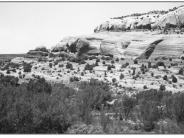 Upper Kane Creek 1999
